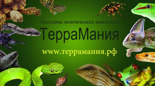 Биологический музей Тимирязева